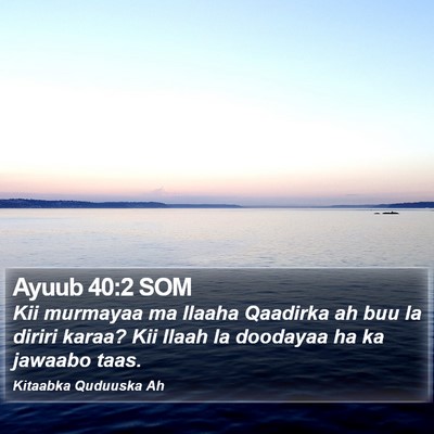 Ayuub 40:2 SOM Bible Verse Image
