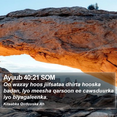 Ayuub 40:21 SOM Bible Verse Image
