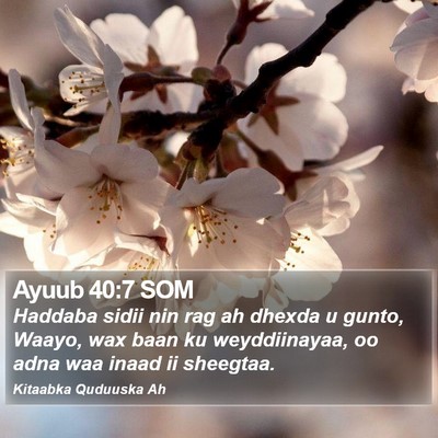 Ayuub 40:7 SOM Bible Verse Image