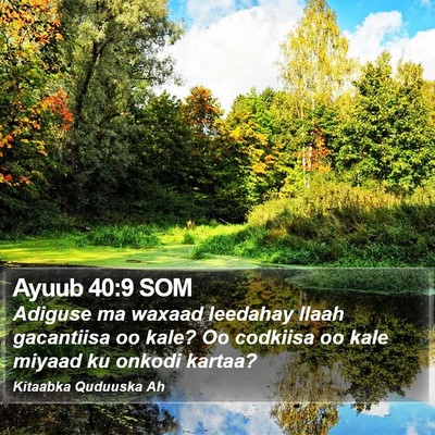 Ayuub 40:9 SOM Bible Verse Image