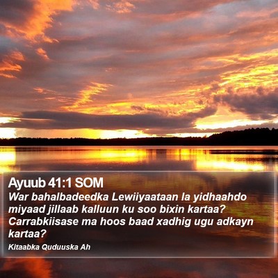 Ayuub 41:1 SOM Bible Verse Image