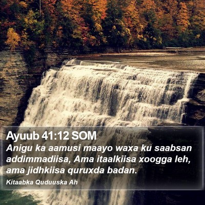 Ayuub 41:12 SOM Bible Verse Image
