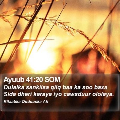 Ayuub 41:20 SOM Bible Verse Image