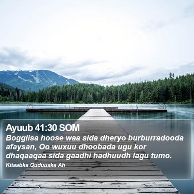 Ayuub 41:30 SOM Bible Verse Image