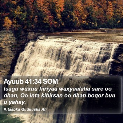 Ayuub 41:34 SOM Bible Verse Image