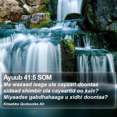 Ayuub 41:5 SOM Bible Verse Image