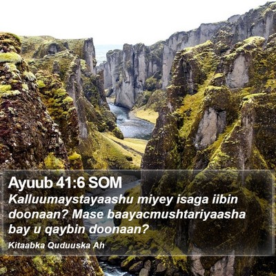 Ayuub 41:6 SOM Bible Verse Image
