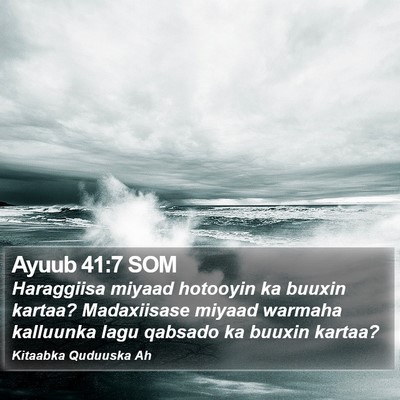 Ayuub 41:7 SOM Bible Verse Image