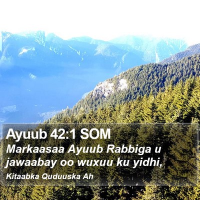Ayuub 42:1 SOM Bible Verse Image