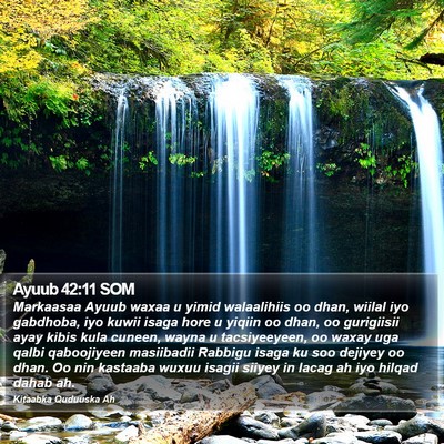Ayuub 42:11 SOM Bible Verse Image