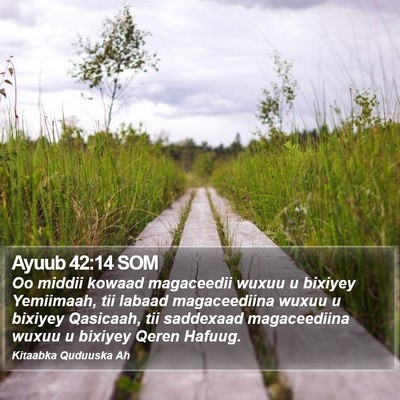 Ayuub 42:14 SOM Bible Verse Image