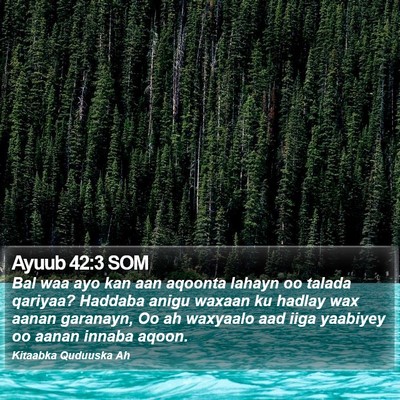 Ayuub 42:3 SOM Bible Verse Image