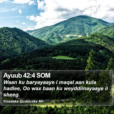 Ayuub 42:4 SOM Bible Verse Image