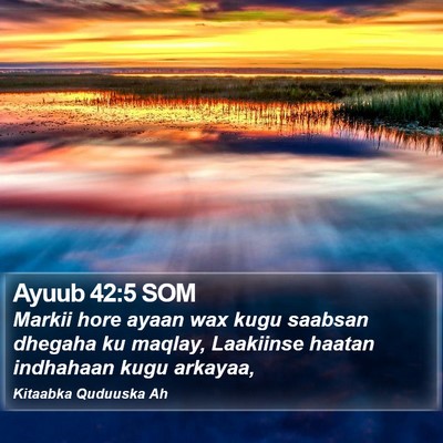 Ayuub 42:5 SOM Bible Verse Image