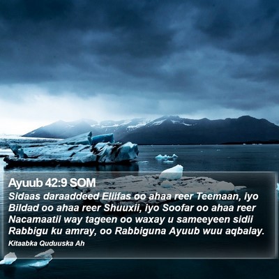 Ayuub 42:9 SOM Bible Verse Image