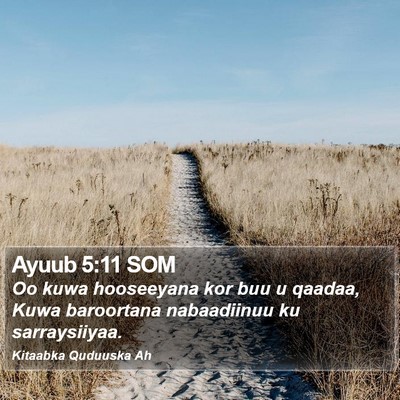 Ayuub 5:11 SOM Bible Verse Image