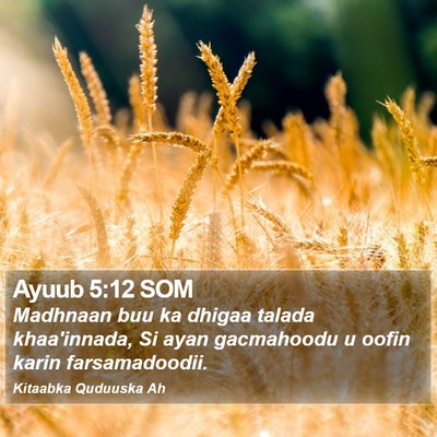 Ayuub 5:12 SOM Bible Verse Image