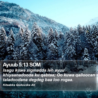 Ayuub 5:13 SOM Bible Verse Image
