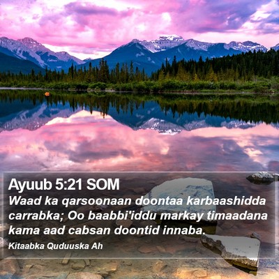 Ayuub 5:21 SOM Bible Verse Image