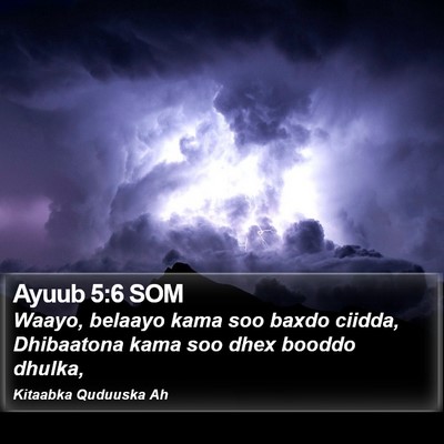 Ayuub 5:6 SOM Bible Verse Image