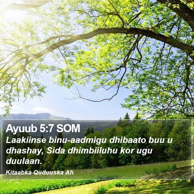 Ayuub 5:7 SOM Bible Verse Image