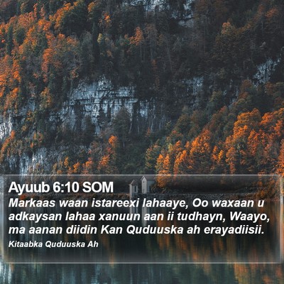 Ayuub 6:10 SOM Bible Verse Image