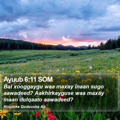 Ayuub 6:11 SOM Bible Verse Image