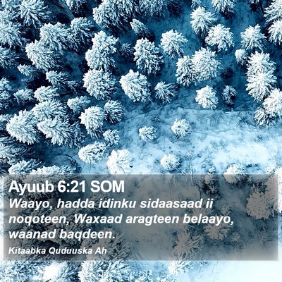 Ayuub 6:21 SOM Bible Verse Image