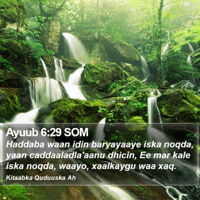 Ayuub 6:29 SOM Bible Verse Image