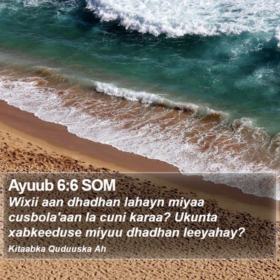 Ayuub 6:6 SOM Bible Verse Image