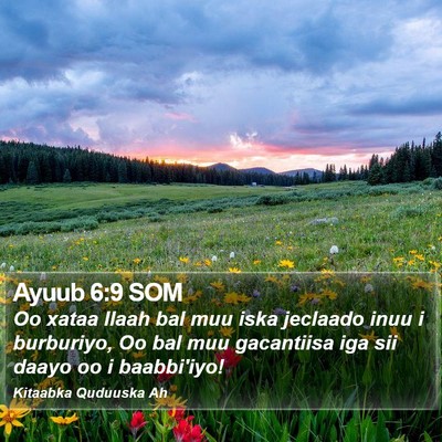 Ayuub 6:9 SOM Bible Verse Image