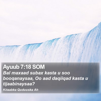 Ayuub 7:18 SOM Bible Verse Image