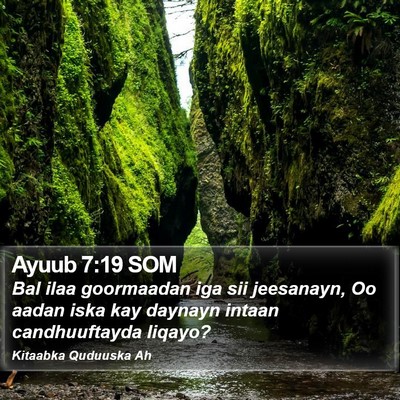Ayuub 7:19 SOM Bible Verse Image