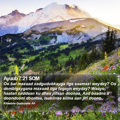 Ayuub 7:21 SOM Bible Verse Image