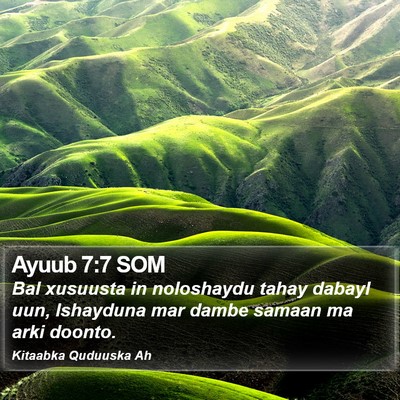 Ayuub 7:7 SOM Bible Verse Image