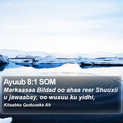Ayuub 8:1 SOM Bible Verse Image
