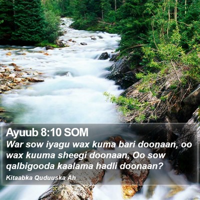 Ayuub 8:10 SOM Bible Verse Image