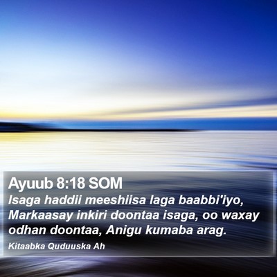 Ayuub 8:18 SOM Bible Verse Image