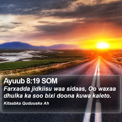 Ayuub 8:19 SOM Bible Verse Image