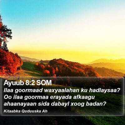 Ayuub 8:2 SOM Bible Verse Image