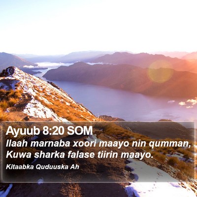 Ayuub 8:20 SOM Bible Verse Image