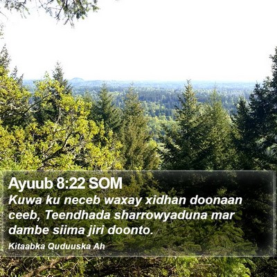 Ayuub 8:22 SOM Bible Verse Image