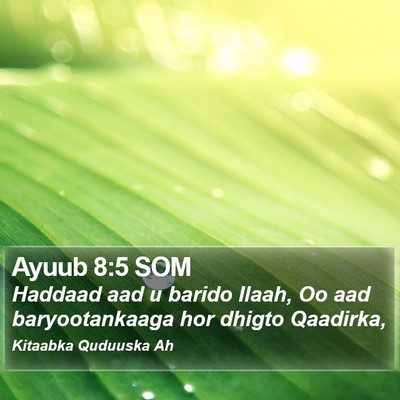 Ayuub 8:5 SOM Bible Verse Image