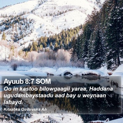 Ayuub 8:7 SOM Bible Verse Image