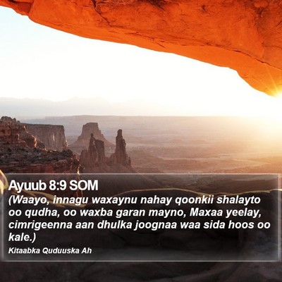 Ayuub 8:9 SOM Bible Verse Image