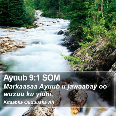Ayuub 9:1 SOM Bible Verse Image