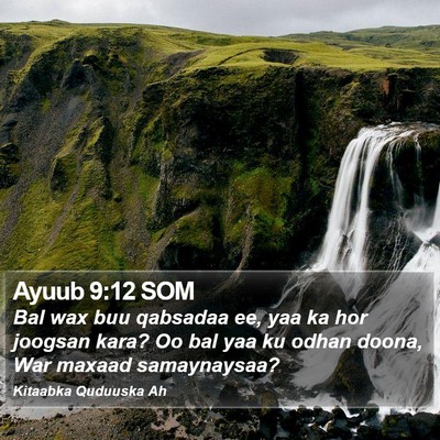 Ayuub 9:12 SOM Bible Verse Image