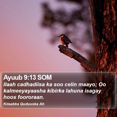 Ayuub 9:13 SOM Bible Verse Image