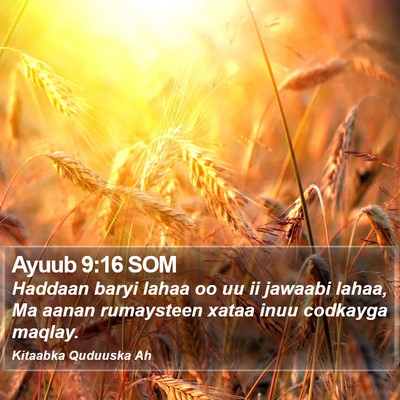 Ayuub 9:16 SOM Bible Verse Image