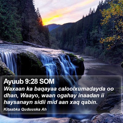 Ayuub 9:28 SOM Bible Verse Image